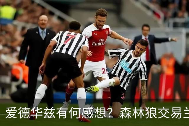 爱德华兹有何感想？森林狼交易兰德尔断臂求生 只为续约道苏姆？